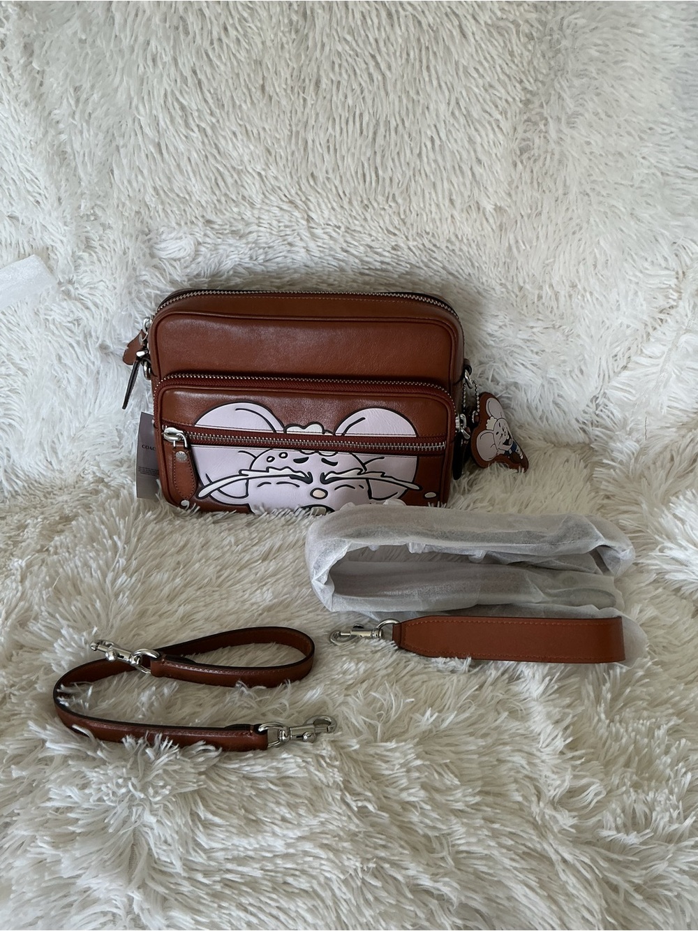 Coach Braindead Dakota Leather Crossbody Bag